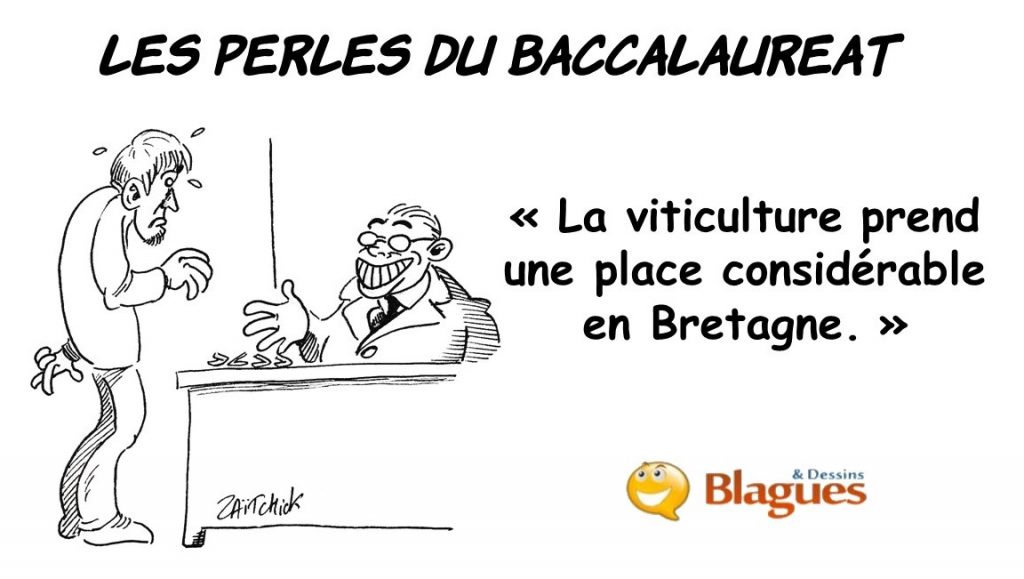 les perles du Baccalauréat