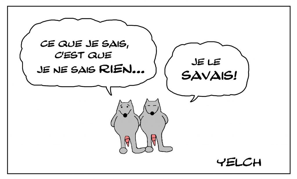 dessin de Yelch sur l’adage de Socrate sur le savoir