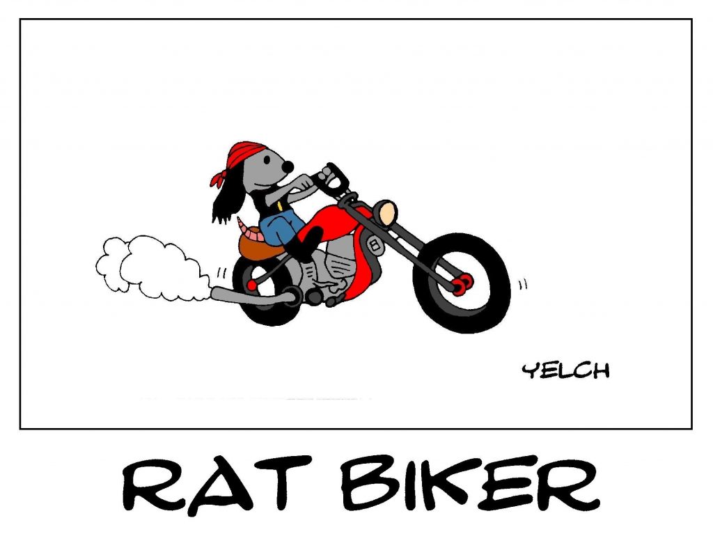 dessin de Yelch sur les bikers