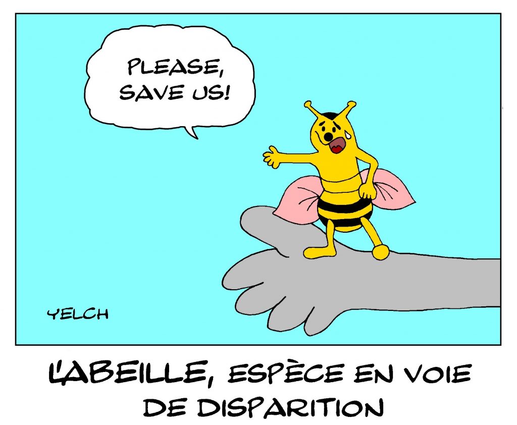 dessin de Yelch sur la disparition des abeilles