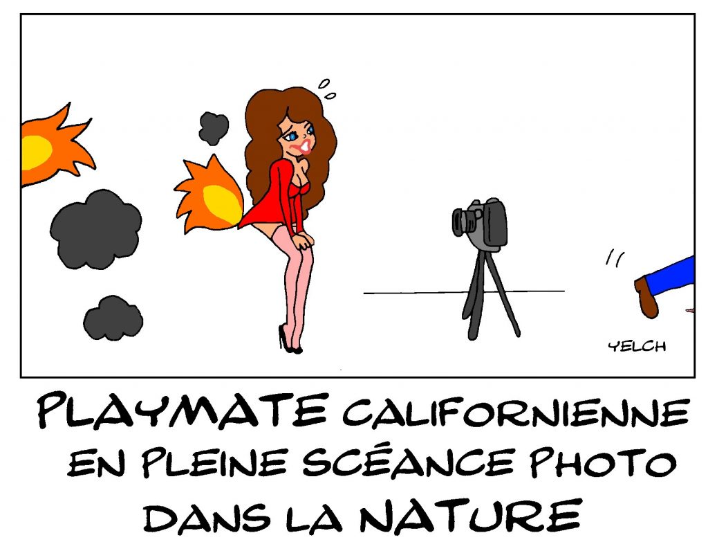 dessin de Yelch sur les incendies en Californie aux États-Unis