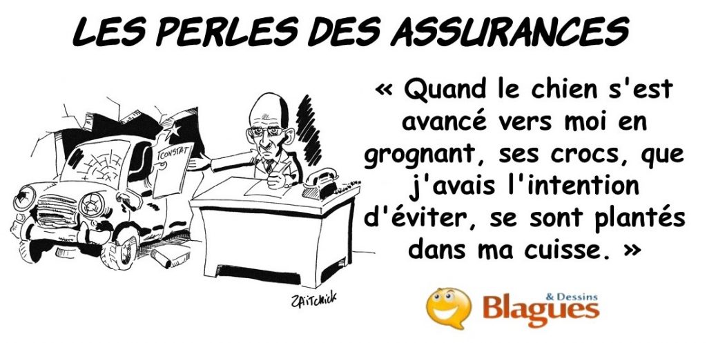 les perles des assurances