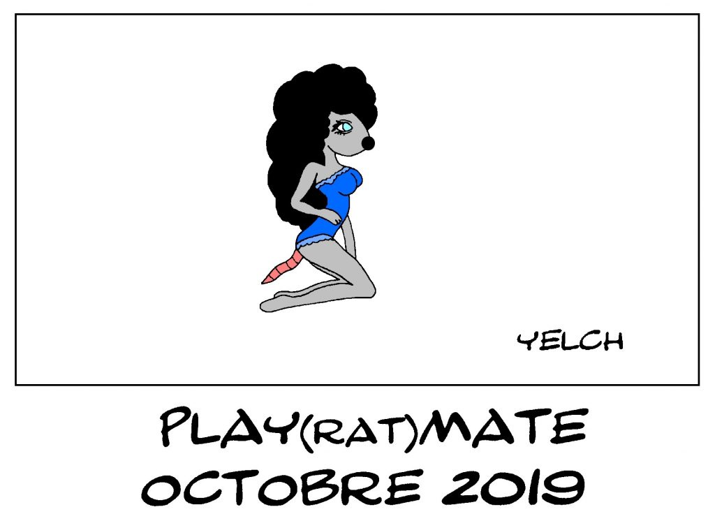 dessin de Yelch sur la playmate du mois