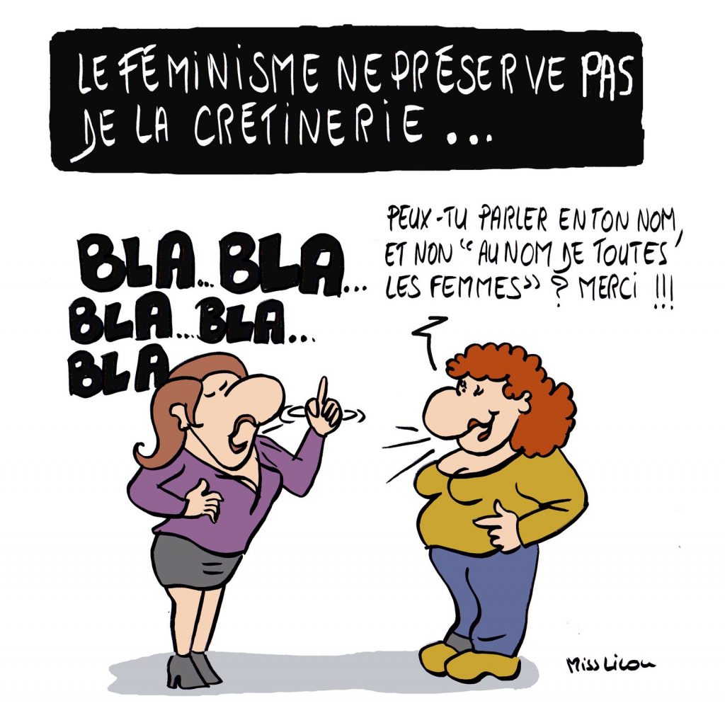 dessin de Miss Lilou sur le féminisme et la crétinerie