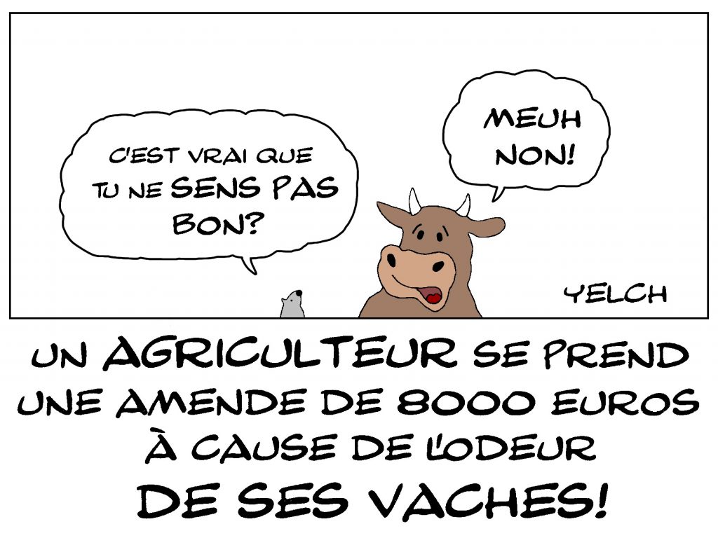 dessin de Yelch sur un agriculteur condamné à une amende de 8000 euros à cause de l’odeur de ses vaches