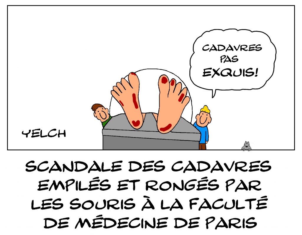 dessin de Yelch sur le scandale des cadavres de la faculté de médecine de Paris