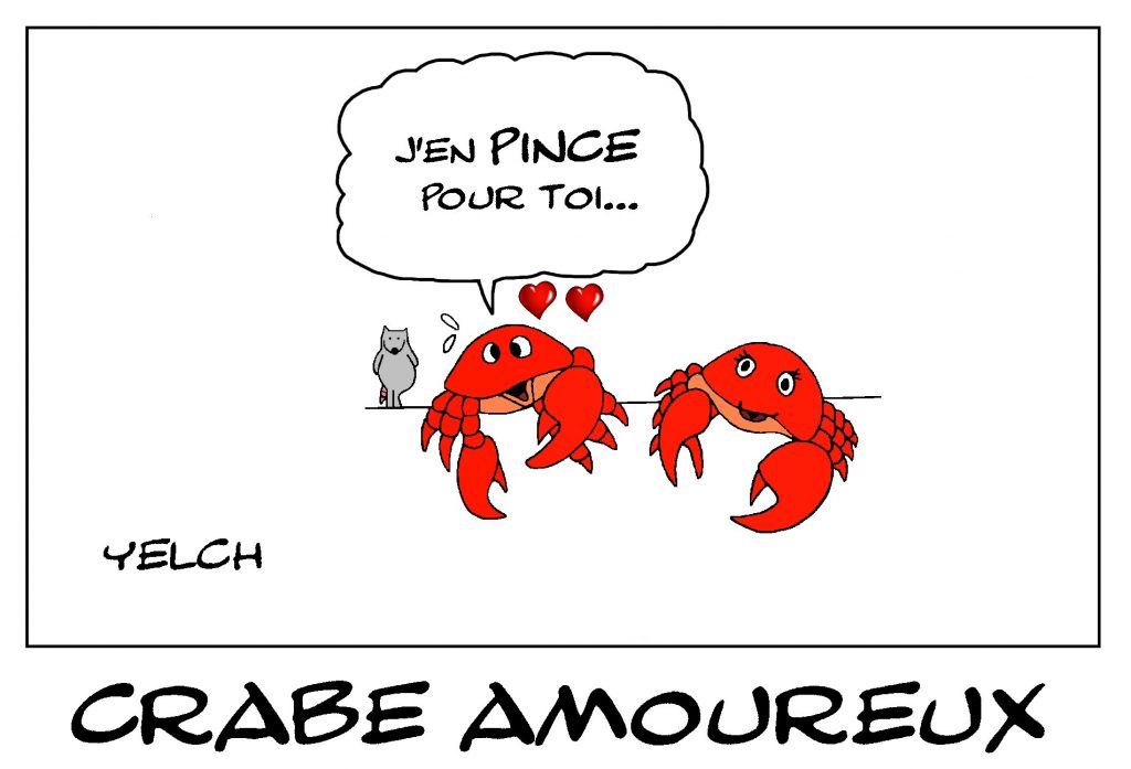 dessin de Yelch sur les crabes, l’amour et les pinces