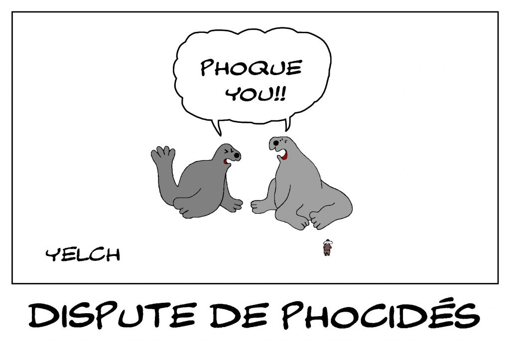 dessin de Yelch sur les phoques