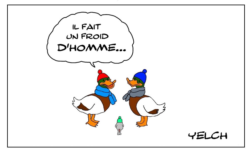 dessin de Yelch sur les canards et le froid de canard