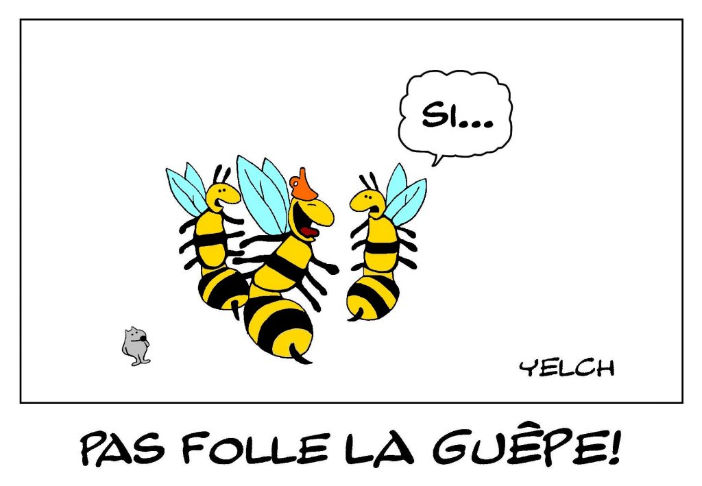 dessin de Yelch sur les guêpes et la folie