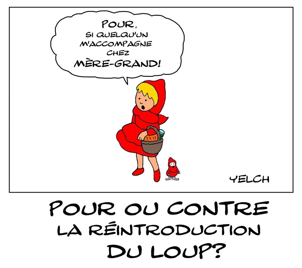 dessin de Yelch sur la réintroduction du loup