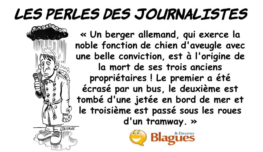 les perles des journalistes