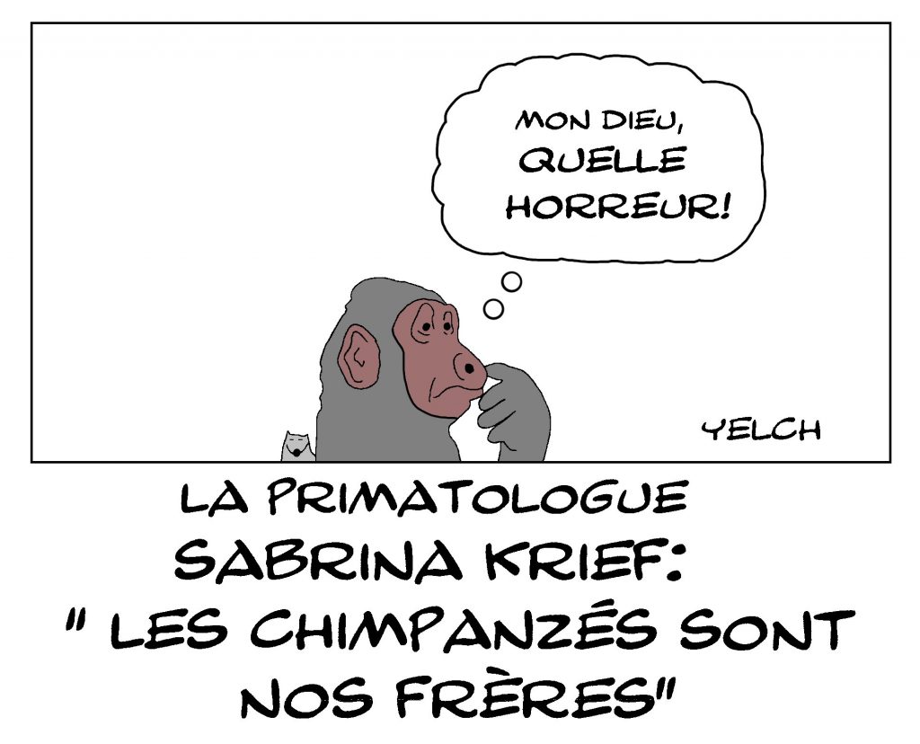 dessin de Yelch sur la fraternité entre humains et chimpanzés d’après la primatologue Sabrina Krief