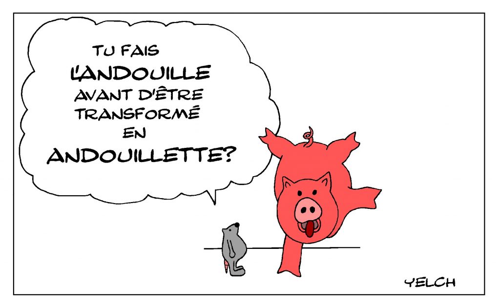 dessin de Yelch sur les cochons, les andouilles et andouillettes