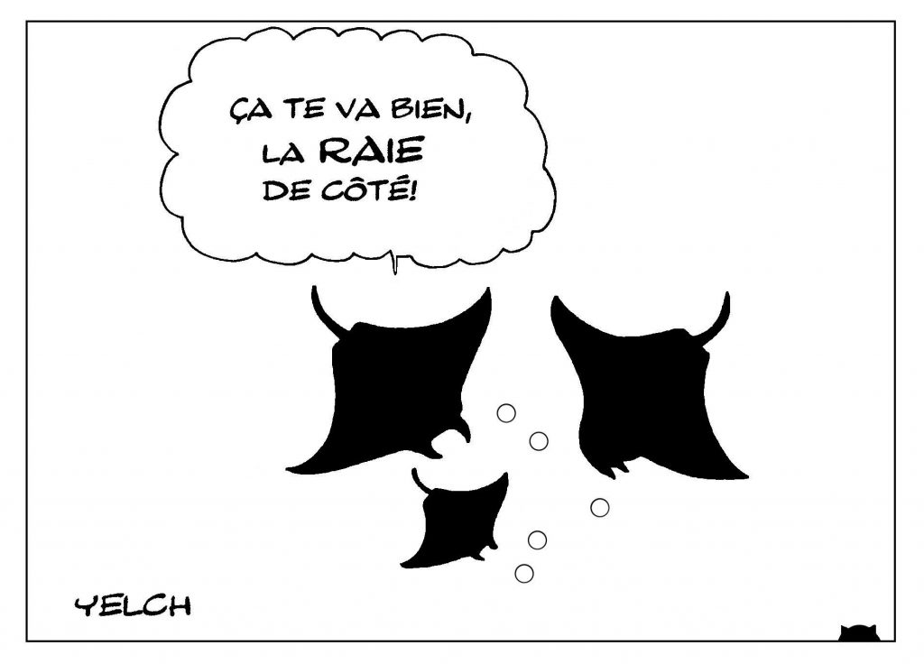 dessin de Yelch sur les raies et la coiffure