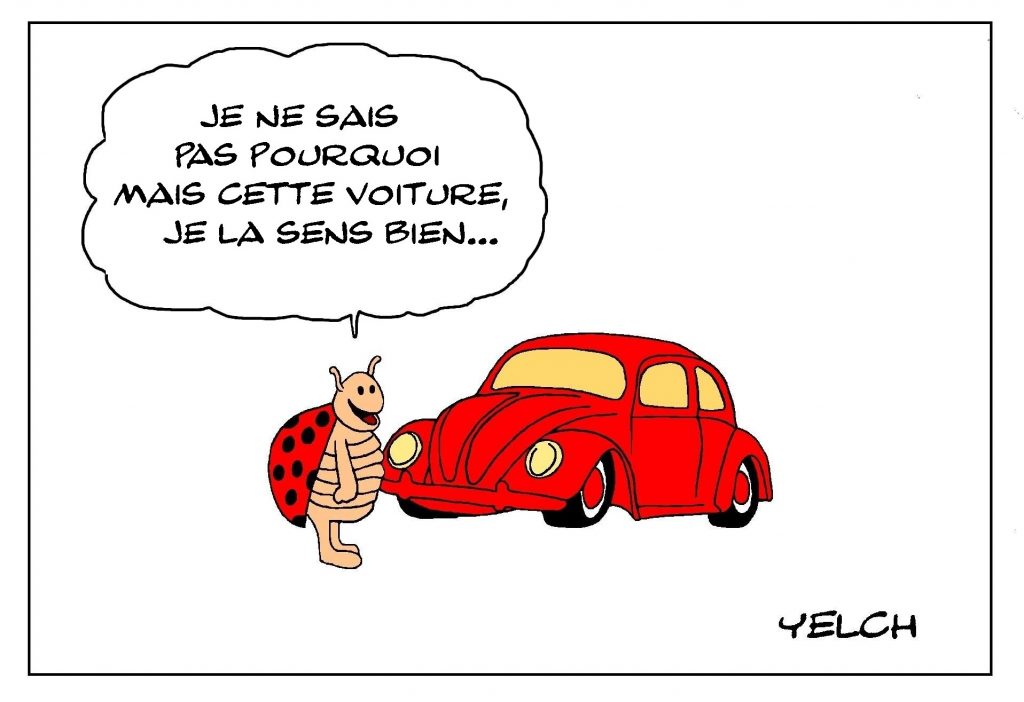 dessin de Yelch sur les coccinelles et les Volkswagen coccinelle