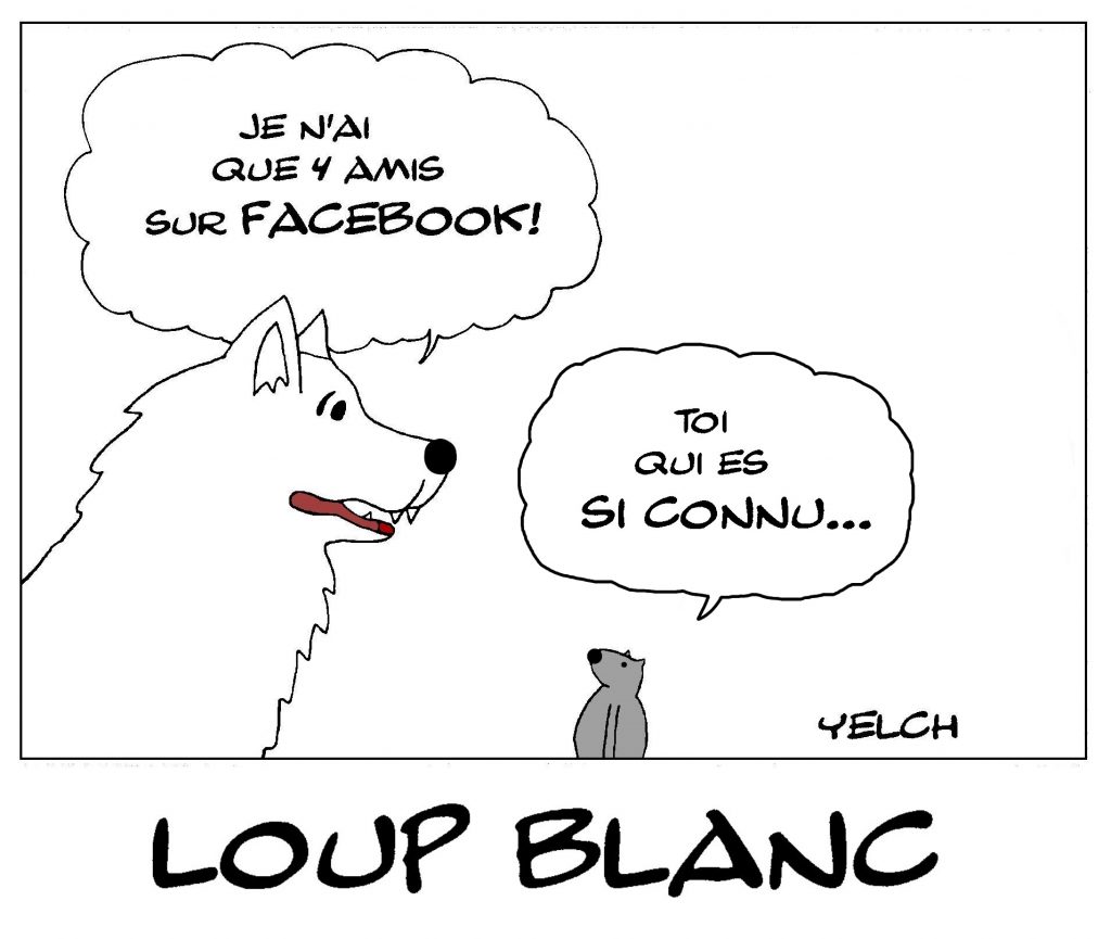 dessin de Yelch sur l’expression connu comme le loup blanc