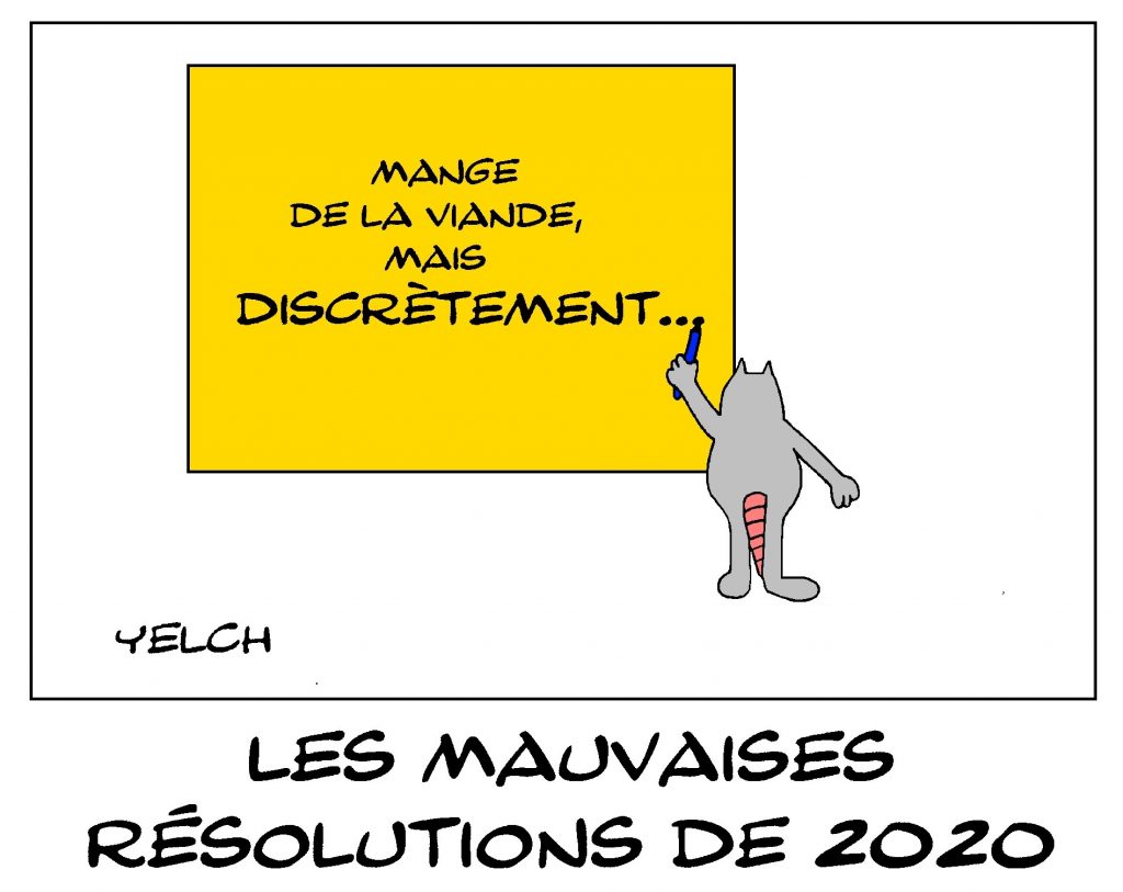dessin de Yelch sur les bonnes résolutions de la nouvelle année 2020