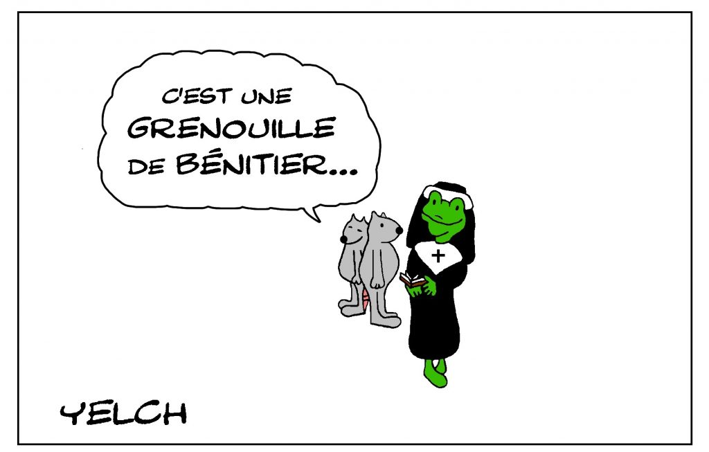 dessin de Yelch sur les grenouilles et les grenouilles de bénitier