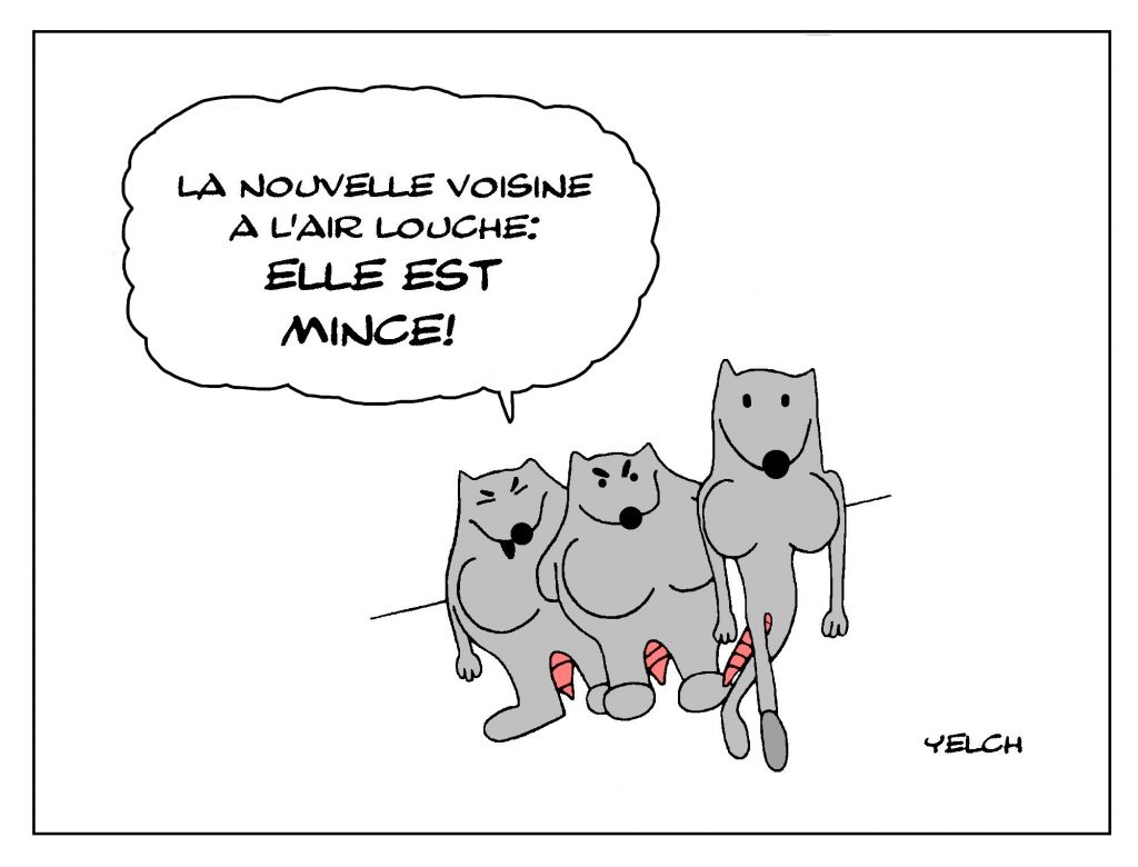 dessin de Yelch sur les voisines, la minceur et l’air louche