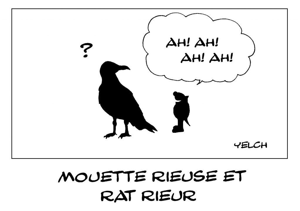 dessin de Yelch sur le rire et les mouettes rieuses