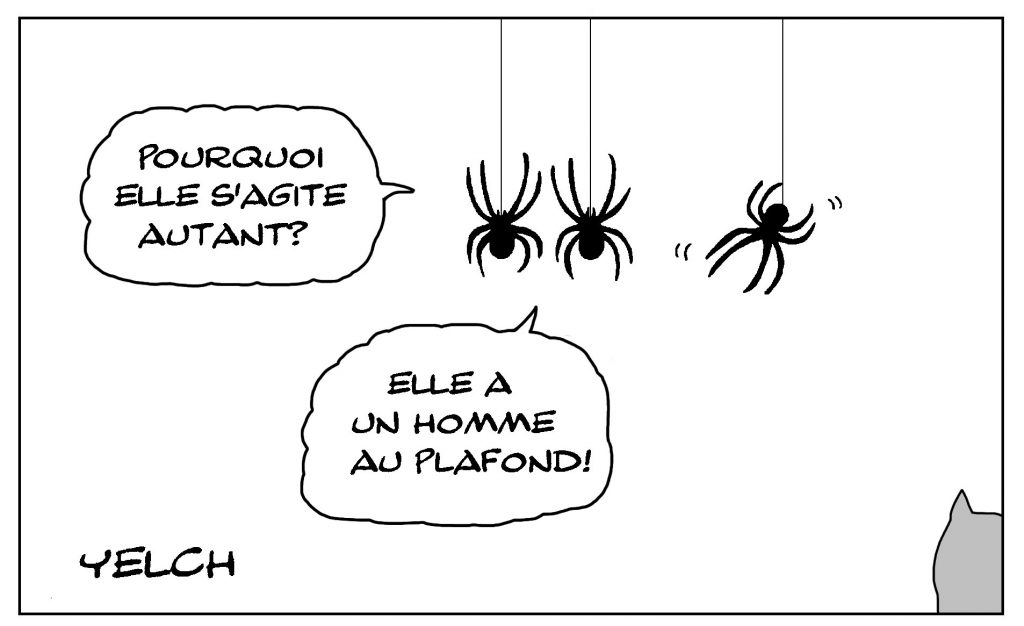 dessin de Yelch sur les araignées et l’expression avoir une araignée au plafond