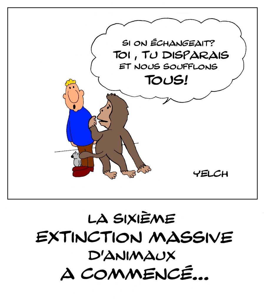 dessin de Yelch sur le début de la sixième extinction massive d’animaux