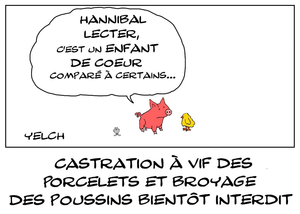 dessin de Yelch sur la prochaine interdiction de la castration à vif des porcelets et du broyage des poussins