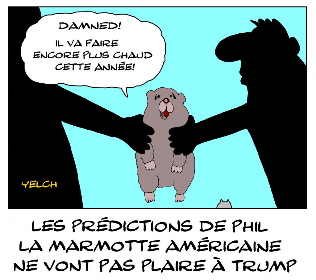 dessin de Yelch sur les prédictions météo de Phil la Marmotte pour cette année 2020