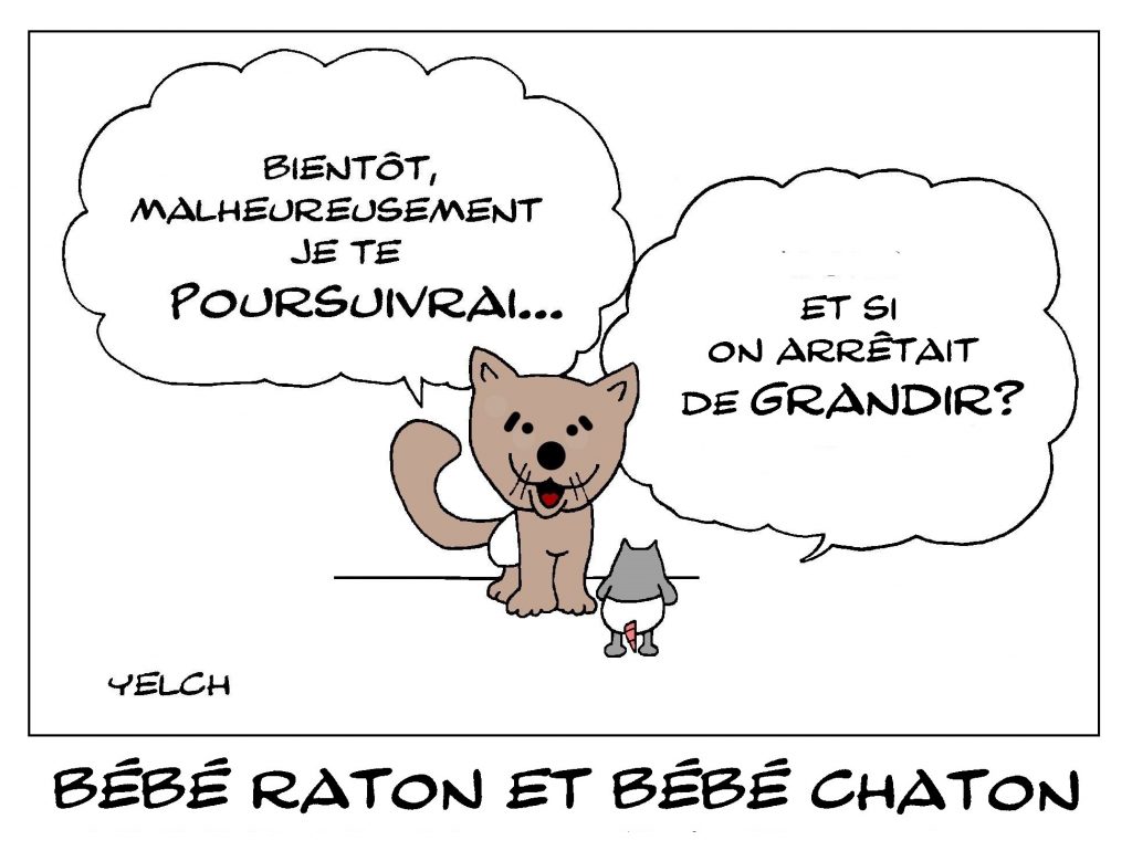 dessin de Yelch sur les bébés chats et les bébés rats