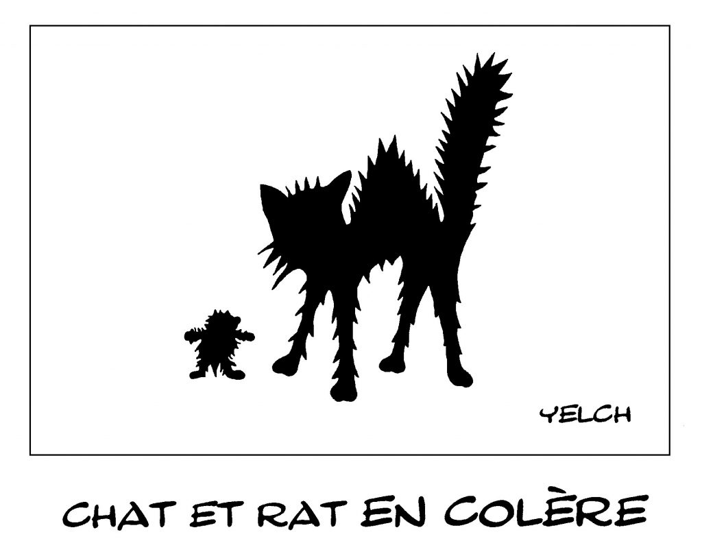 dessin de Yelch sur la colère des chats et les poils hérissés