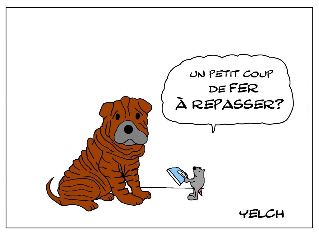 dessin de Yelch sur les chiens de race Shar Pei