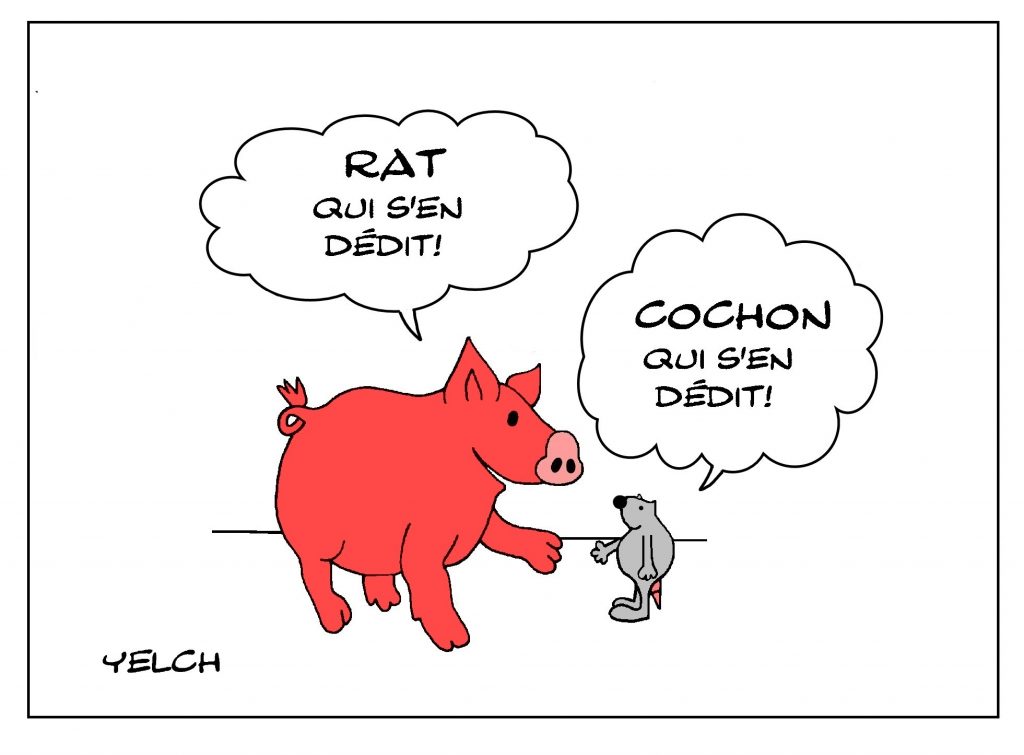 dessin de Yelch sur les cochons et l’expression cochon qui s’en dédit