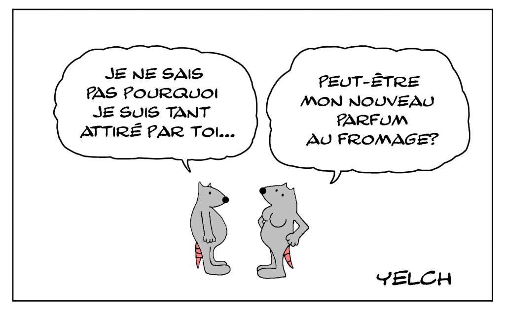 dessin de Yelch sur les parfums de rat, les fromages et l’attirance