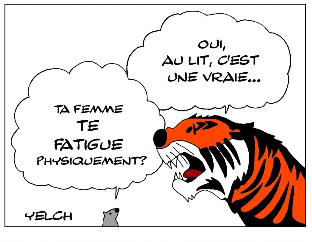 dessin de Yelch sur la sexualité des tigres