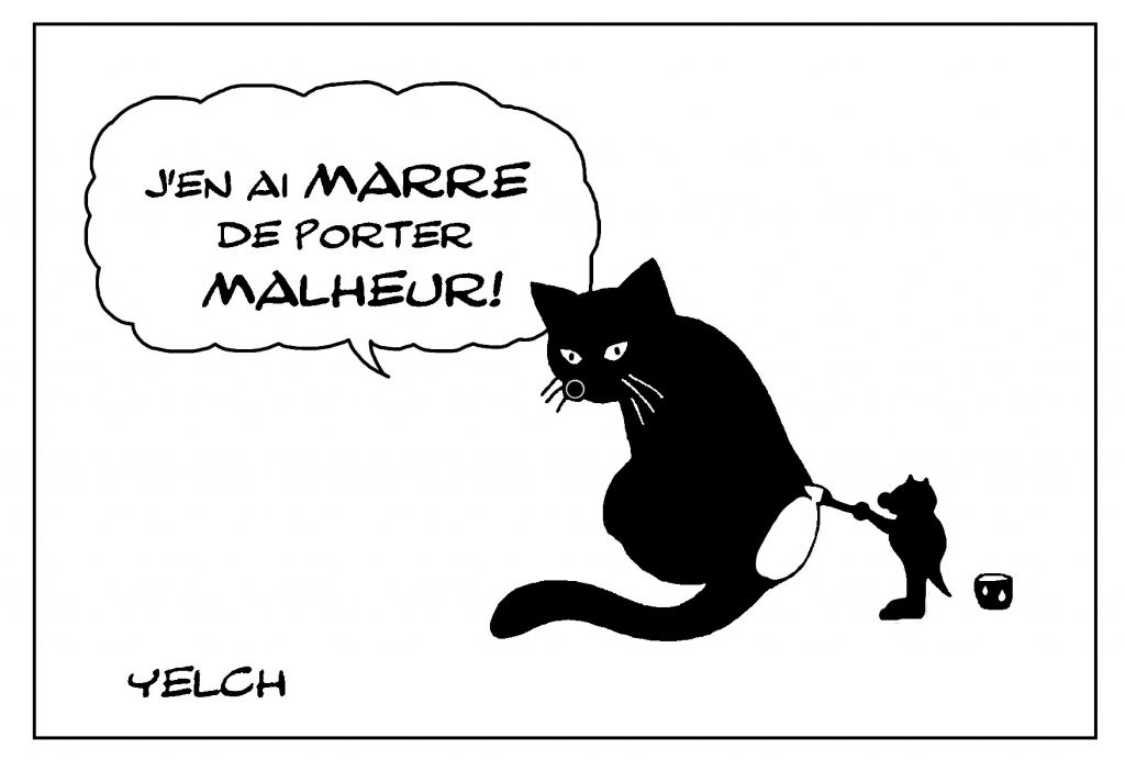 dessin de Yelch sur les chats noirs et la superstition