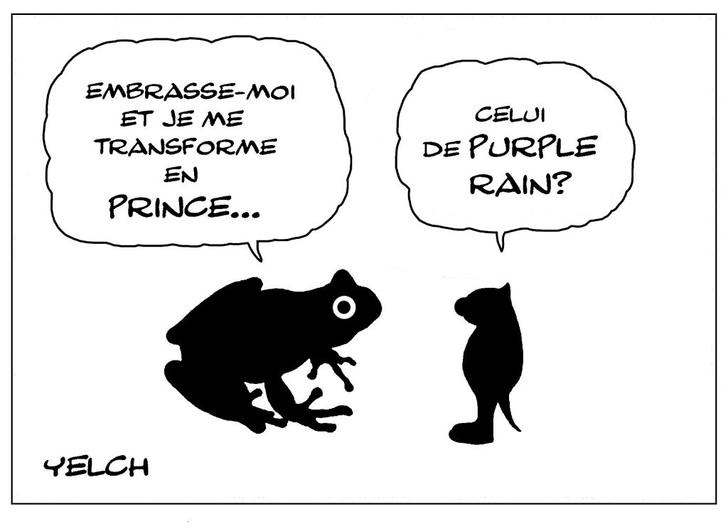 dessin de Yelch sur les grenouilles magiques et la transformation en Prince