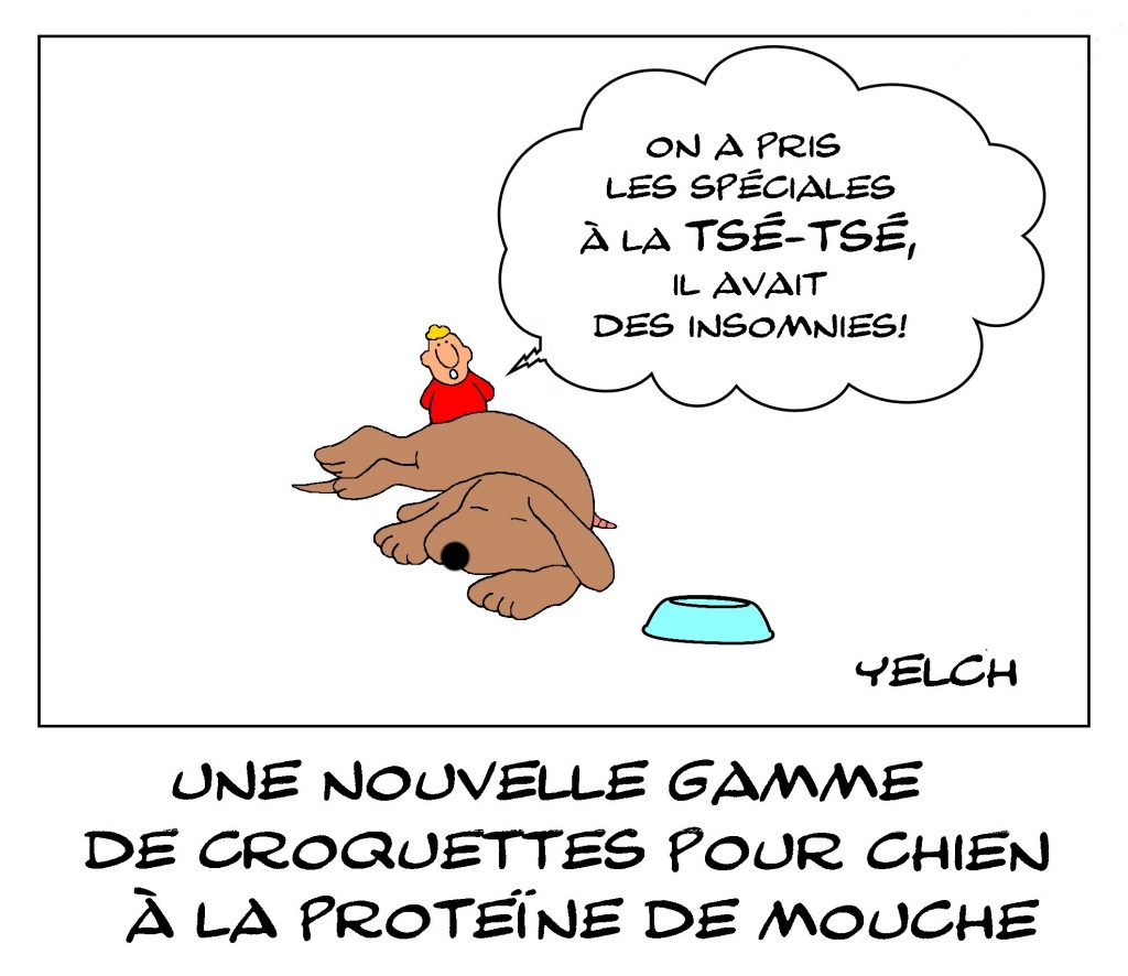 dessin de Yelch sur les croquettes pour chien à base de protéine de mouche