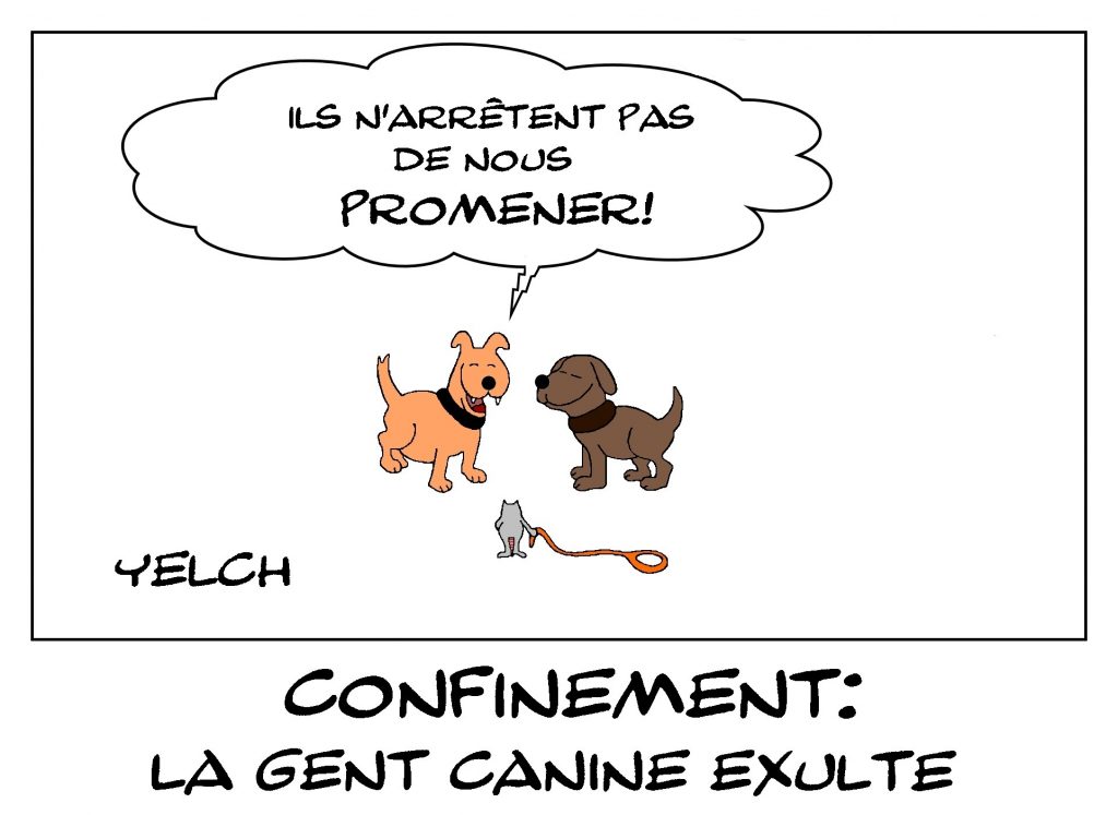 dessin de Yelch sur l’épidémie de Covid-19 et les attestations dérogatoires de sortie pour promener les chiens