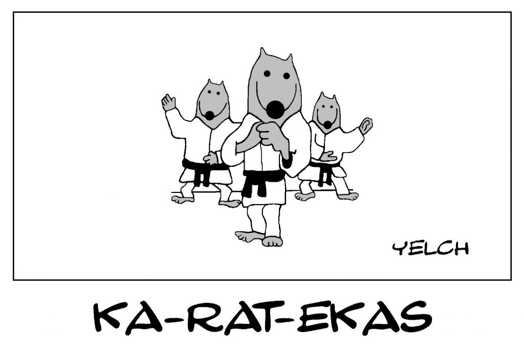 dessin de Yelch sur le karaté et les karatékas