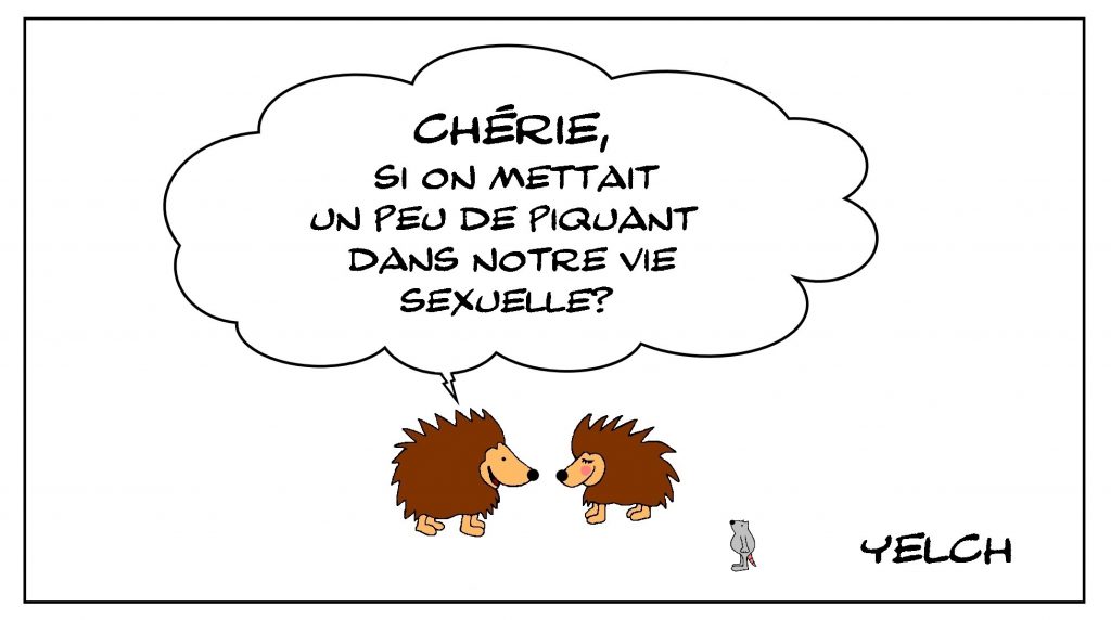 dessin de Yelch sur la vie sexuelle des hérissons