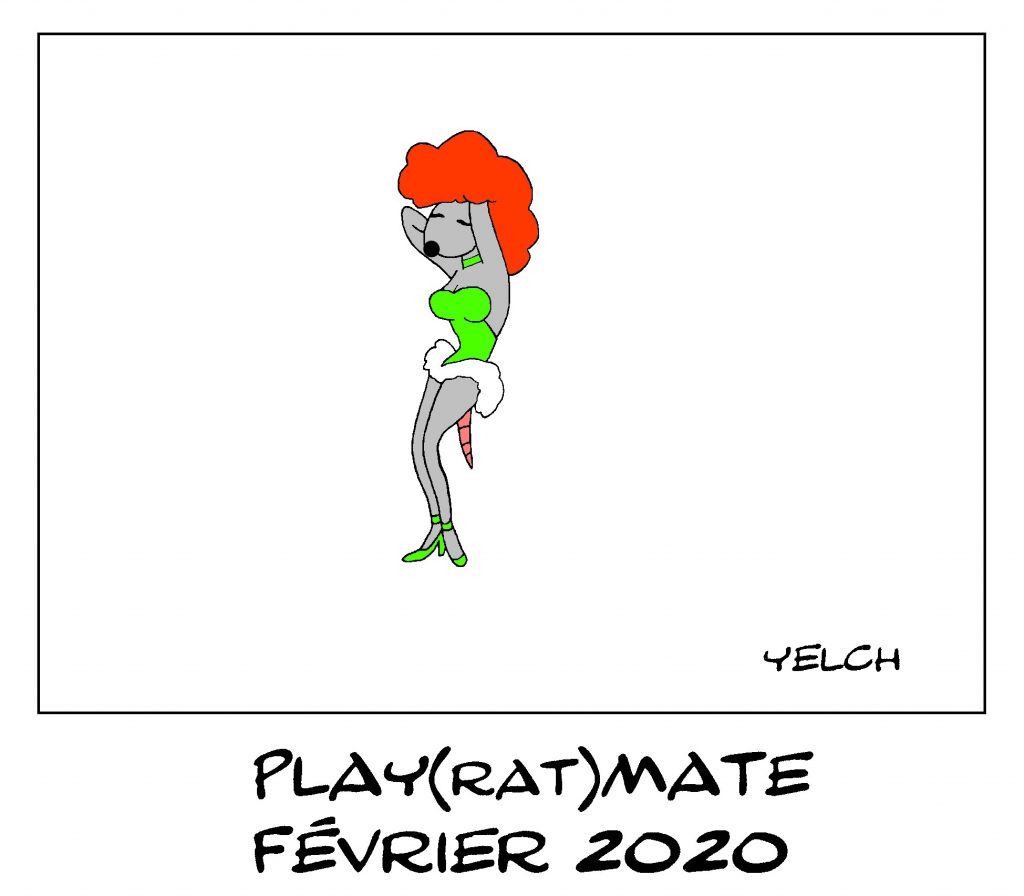 dessin de Yelch sur la playmate du mois de février 2020