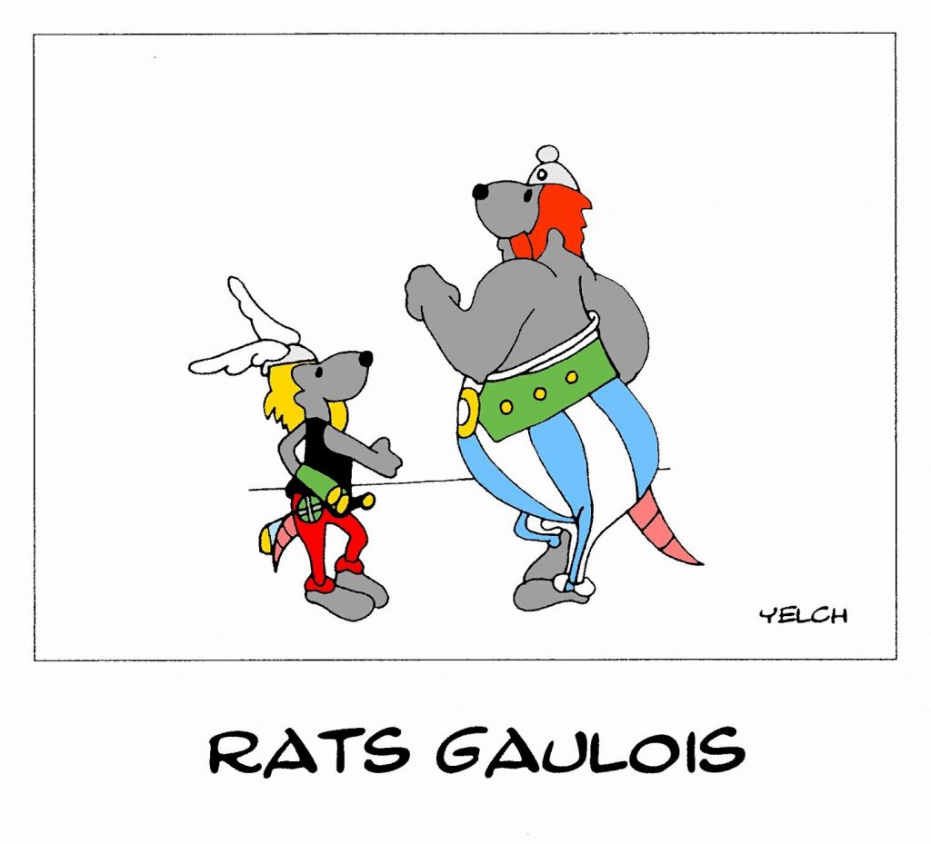 dessin de Yelch sur les gaulois Astérix et Obélix