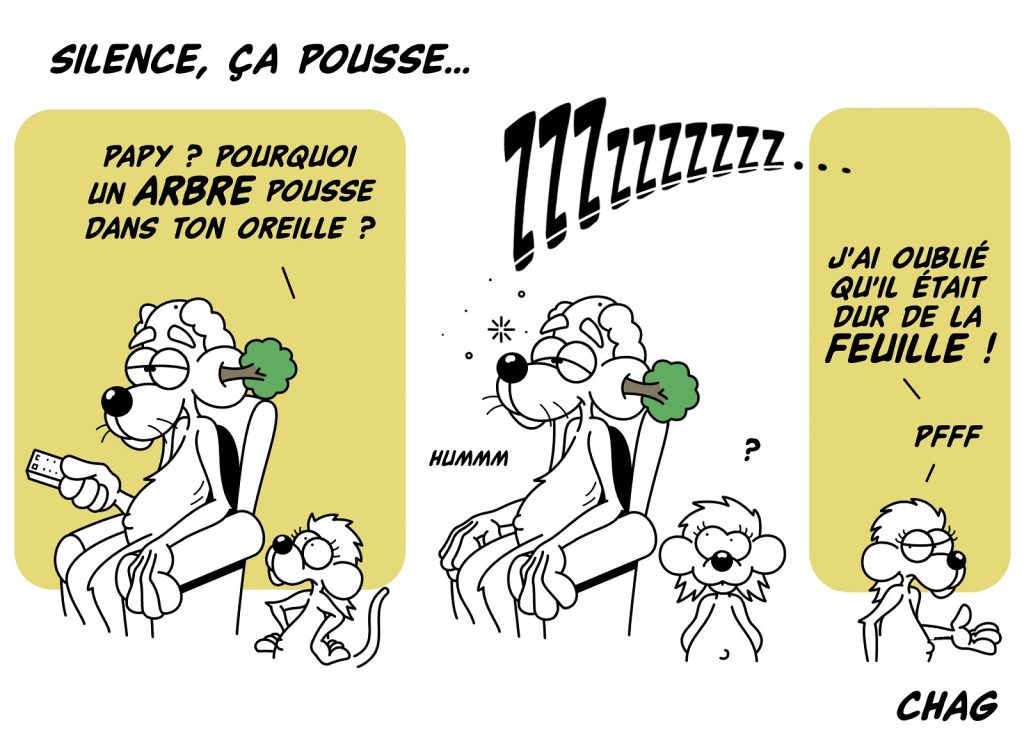 dessin d'humour de Chag sur les vieux durs de la feuille