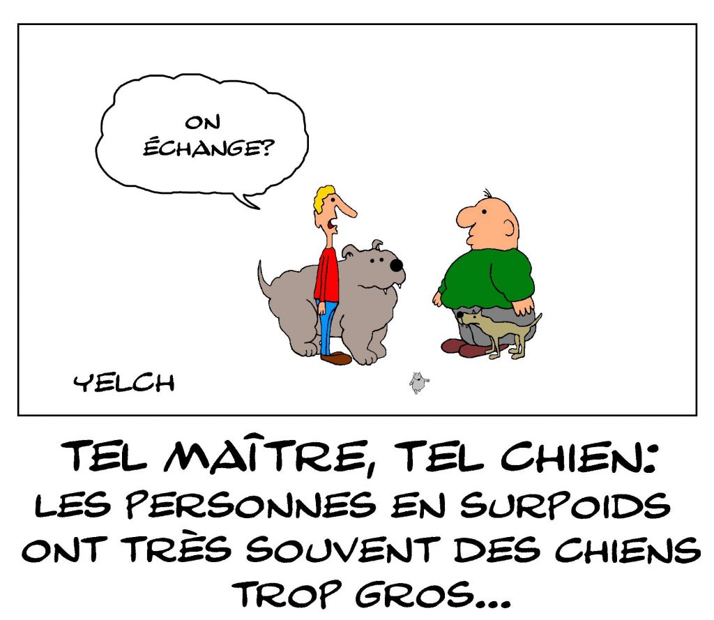 dessin de Yelch sur le rapport entre les chiens et leurs maîtres