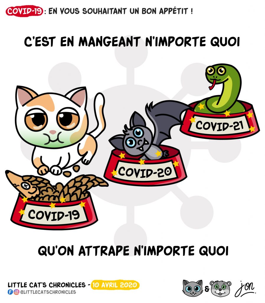 dessin humoristique des Little Cat’s Chronicles sur le coronavirus et la nourriture vivante