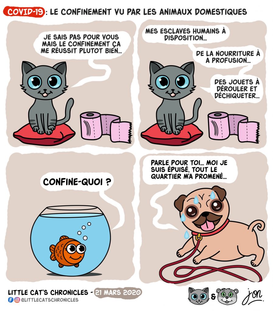 dessin humoristique des Little Cat’s Chronicles sur les animaux domestiques et le confinement