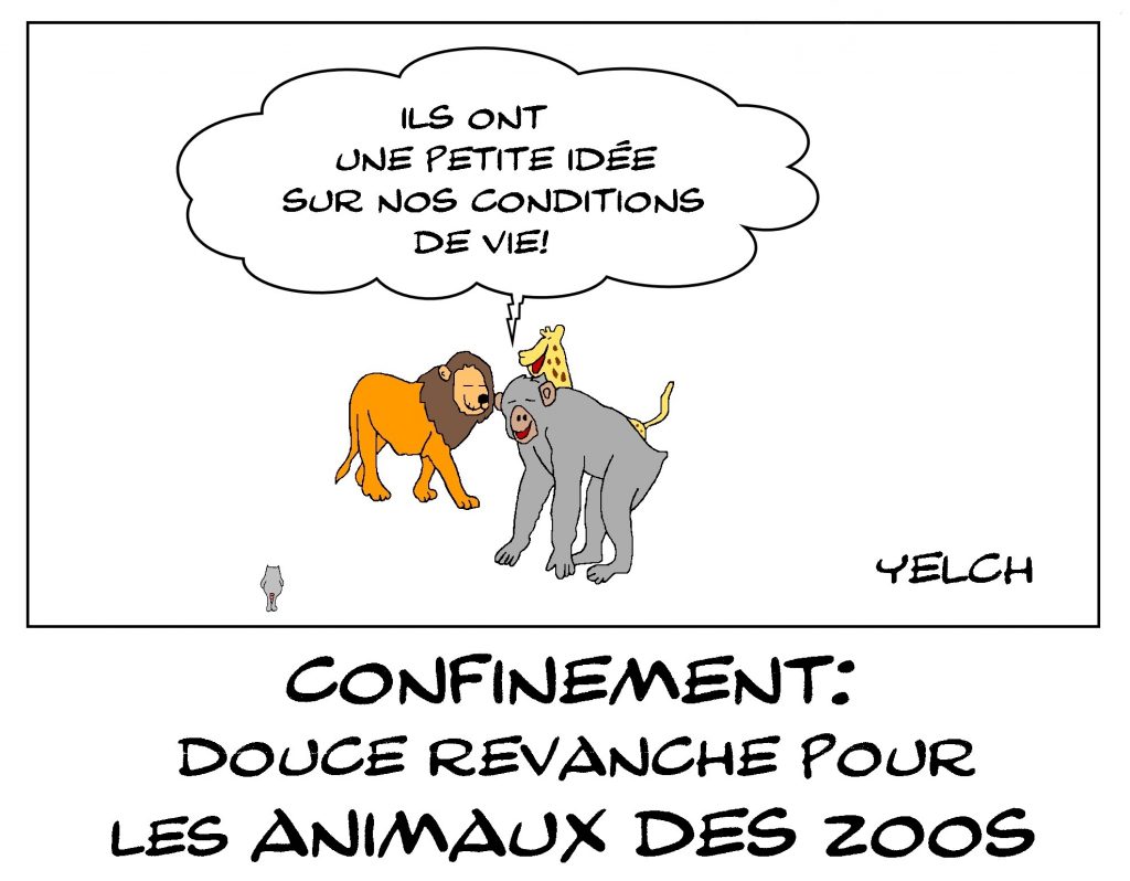 dessin de Yelch sur l’épidémie de covid-19, le confinement et les animaux de zoo