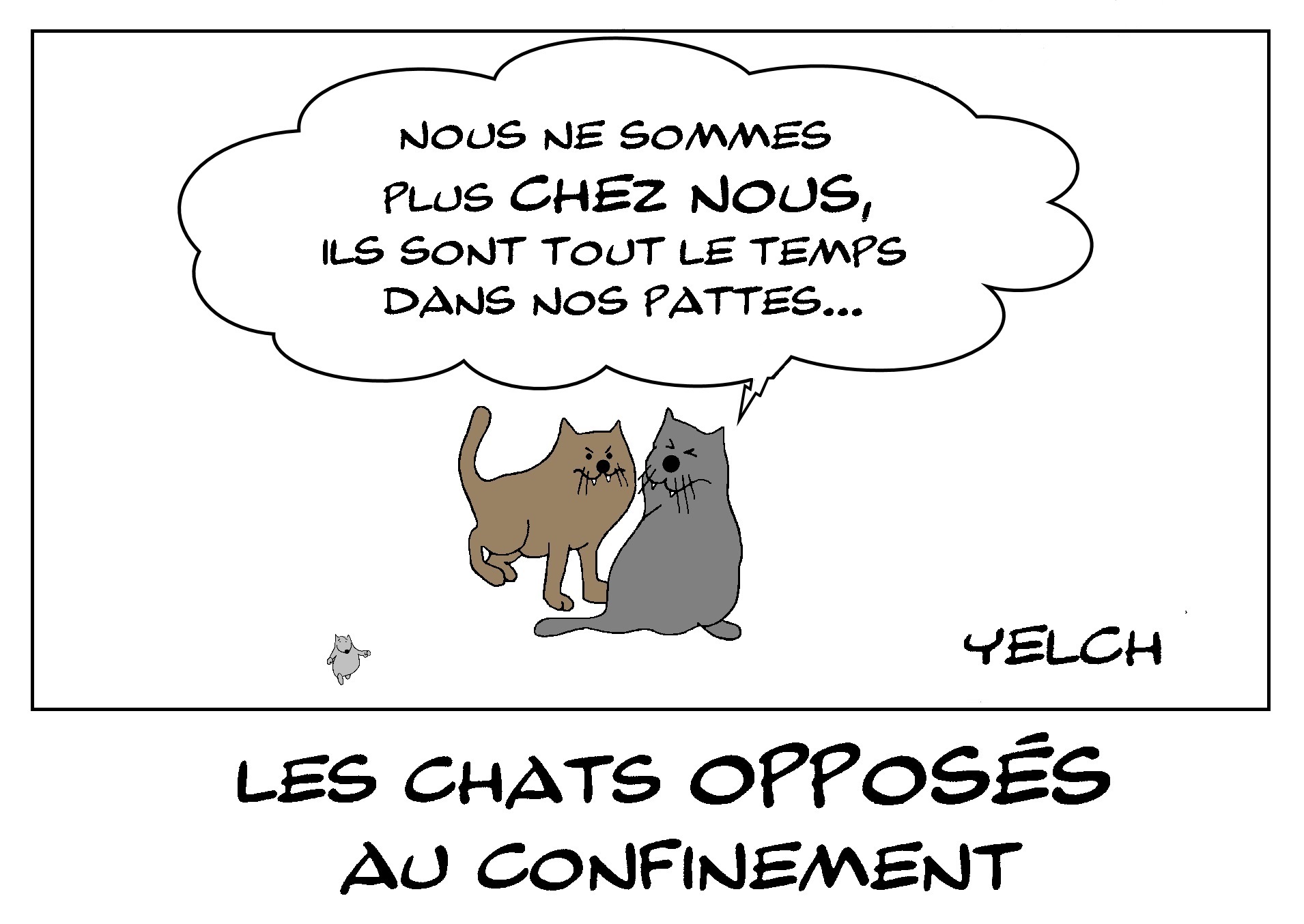 31 Mars Les Chats Opposes Au Confinement Blagues Et Dessins