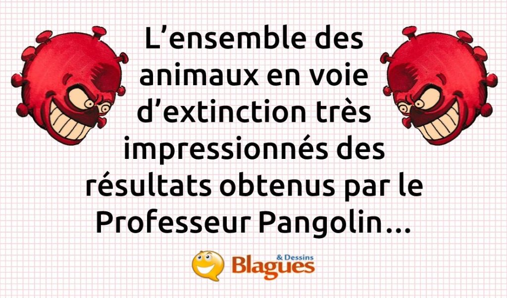 blague sur le coronavirus et le pangolin